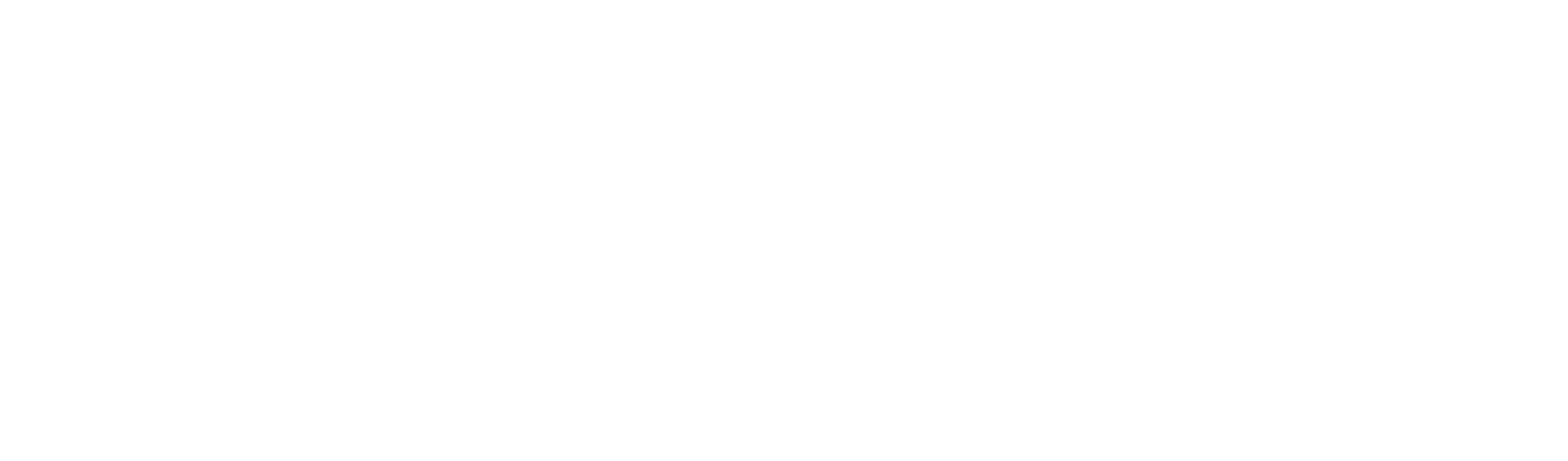 STOLL Consulting by Slava Stoll. Websitelogo